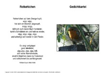 Rotkehlchen-Busch.pdf
